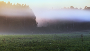 В жизни всё полосато... / Осенние сюжеты