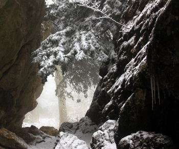 Зима в Тиссовом ущелье / Крым, Чатыр-Даг