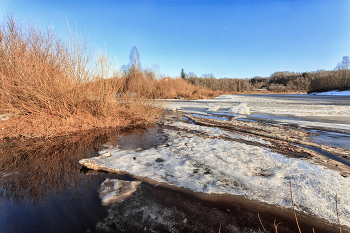 Жизнь вокруг / ***