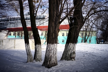 друзья / город