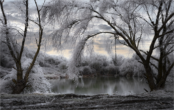 Зимняя " тарзанка " / Скованные льдом