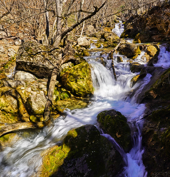 Весна в Кизилкобинском ущелье / Крым, Кизилкобинское ущелье
