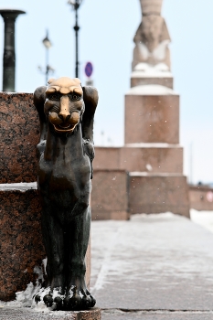 Грифон и Сфинкс / Санкт-Петербург