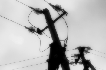 Монстры / ***