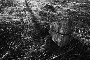 Пейзажизнь / ***