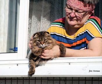 Дама с котом / греются на солнышке