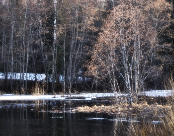 Весенняя. / ***