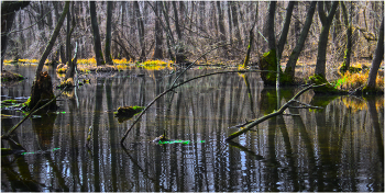Половодье / ***