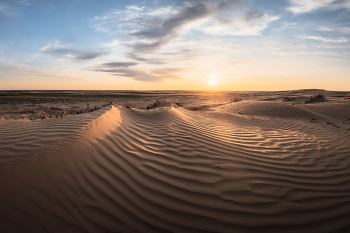 "В пустынях Калмыкии" / Калмыкия – одно из немногих мест в России, где встречаются настоящие песчаные пустыни. Правда, они не совсем естественного происхождения. Раньше здесь были степи, но в результате чрезмерного выпаса и распашки, земля превратилась в пустыню.