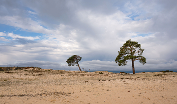 Побережье Байкала / Сарайский пляж