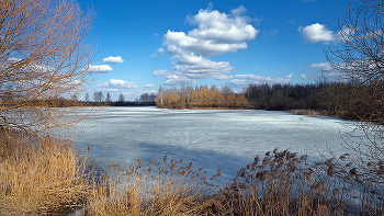 Весна. / Цнянское водохранилище. Минск. Беларусь.