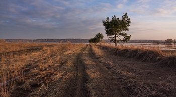 Вечер в апреле / В пригороде Подмосковья