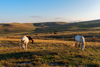 &nbsp; / лошадки на Белой скале