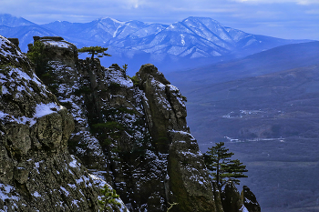 Южный Демерджи / Крым, Южный Демерджи, горы, февраль, скала, сосна