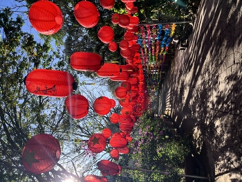 Вьетнамские зарисовки / ***