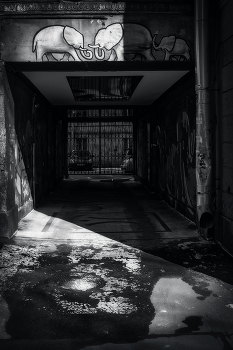 Россия - родина слонов / ***