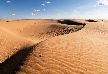 Барханы Калмыкии / ***