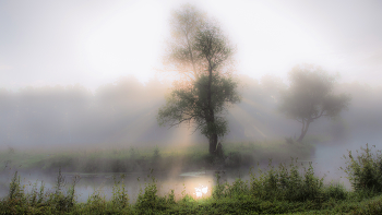 &nbsp; / Летние туманы