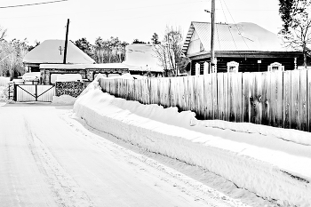 Зимним днём. / Томская область.