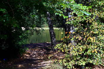 Шибаевский пруд / Шибаевский пруд в Кузьминском парке в Москве. Сентябрь 2024.