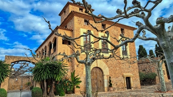 &nbsp; / Reus - Mas de Valls (Bodegues Muller) - Baix Camp