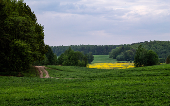 Про утро в мае / Пейзаж Беларуси