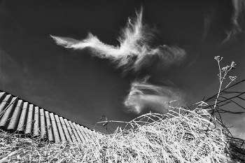 Пейзажизнь / ***