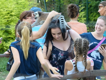 КУЧА мала / ***