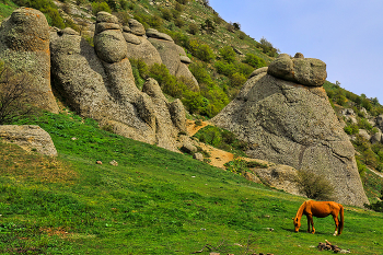 В Долине Привидений / Крым, Южный Демерджи