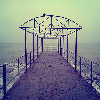 Фантазия / на темы хайку