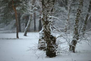 Утро / Весенний снег