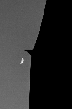 Пейзажизнь / ***