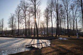 Весна в парке / ***