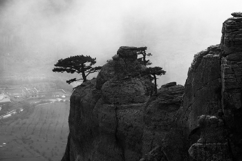 На Южном Демерджи / Крым, Южный Демерджи