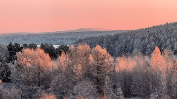 розовая фоточка / Город Лесной, зима, пейзаж