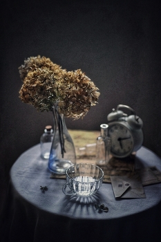 С гортензией... / ***