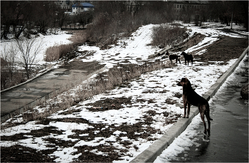 Территория / ***