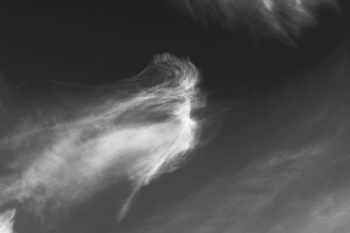 Пейзажизнь / ***