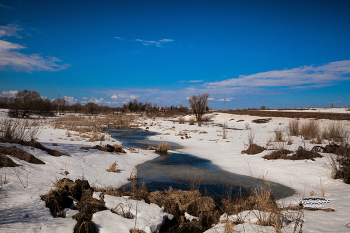 Весна / Место съемки: Калужская область, Мещовский район
Фотограф: https://vk.com/vvlopatoff