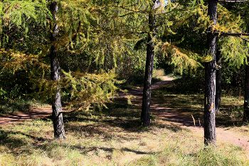 Кузьминский парк / Кузьминский парк в Москве. Сентябрь 2024.
