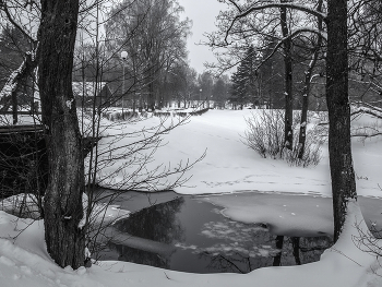 Запруда / ***