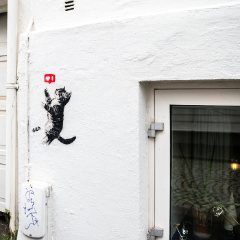 Кто сказал "Мяу" / ***