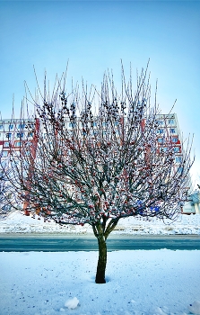 Город в снегу / ***