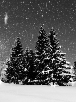 Снегопад ночью / ***