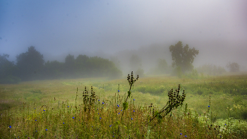 Июль / Летние туманы