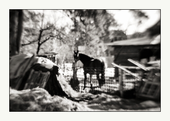 Мартовская нега / Деревенский мотив