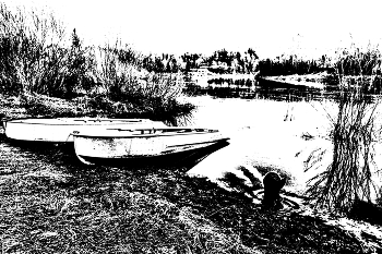 Жизнь вокруг / ***