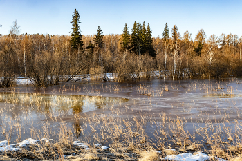 Желтый март / ***