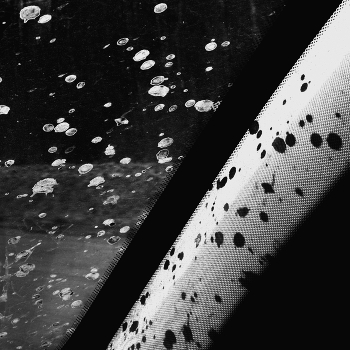 Пейзажизнь / ***