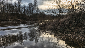 Жизнь вокруг / ***